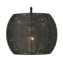 Golden Canada 6074-OWM NB-BRW - Golden Lighting Vail 1-light Outdoor Wall in Natural Black